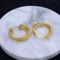 Stainless Steel Hoop Circle Twisted Earrings