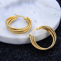 Stainless Steel Hoop Circle Twisted Earrings